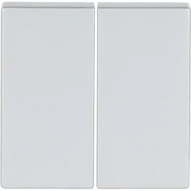 Busch-Jaeger 6736 FoH-83 Friends of Hue bedieningswip 2-voudig Future Linear aluzilver