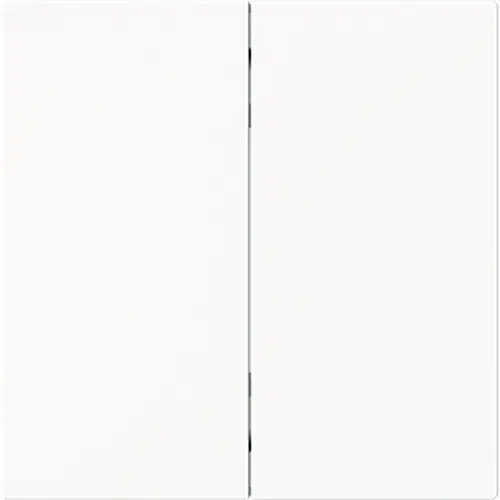 Busch-Jaeger 6736 FoH-44M Friends of Hue bedieningswip 2-voudig Art Linear studiowit mat