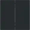 Busch-Jaeger 6736 FoH-45M Friends of Hue bedieningswip 2-voudig Art Linear zwart mat