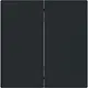 Busch-Jaeger 6736 FoH-45M Friends of Hue bedieningswip 2-voudig Art Linear zwart mat
