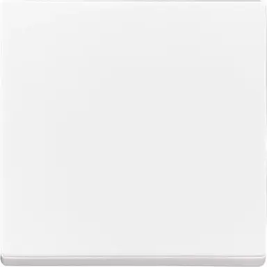 Busch-Jaeger 6735 BT-84 Friends of Hue bedieningswip 1-voudig Future Linear studiowit glans