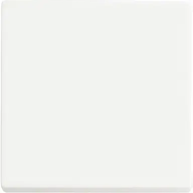 Busch-Jaeger 6735 BT-884 Friends of Hue bedieningswip 1-voudig Future Linear studiowit mat