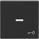 Busch-Jaeger 1789 TR-81 schakelwip controlevenster symbool sleutel Future Linear antraciet glans