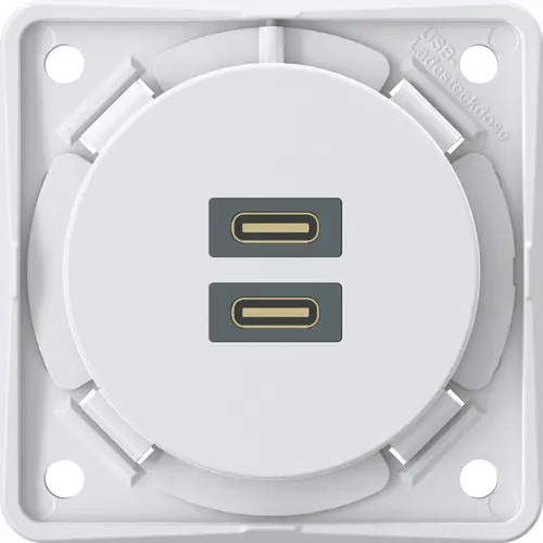 Berker 926302509 Integro Flow USB-lader met 2x USB-C wit