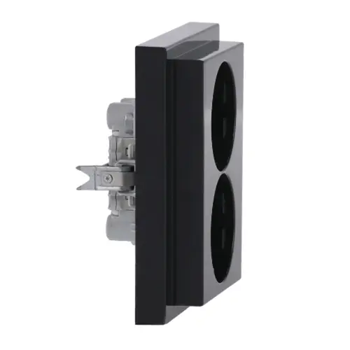 Busch-Jaeger 202 EUJB-81 wandcontactdoos 2-voudig randaarde kindveilig voor enkele inbouwdoos met klauwbevestiging Future Linear antraciet glans
