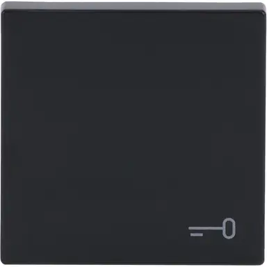 Busch-Jaeger 2520 TR-81 schakelwip symbool sleutel Future Linear antraciet glans