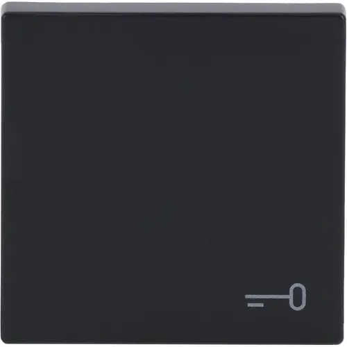 Busch-Jaeger 2520 TR-81 schakelwip symbool sleutel Future Linear antraciet glans