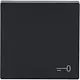 Busch-Jaeger 2520 TR-81 schakelwip symbool sleutel Future Linear antraciet glans