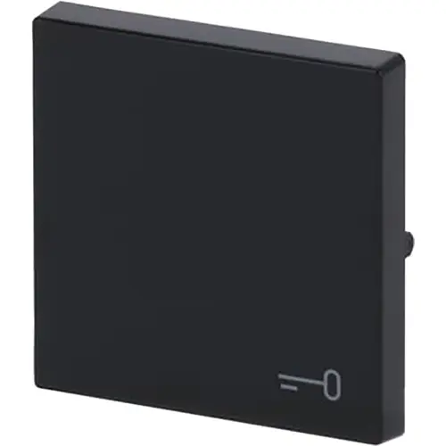 Busch-Jaeger 2520 TR-81 schakelwip symbool sleutel Future Linear antraciet glans