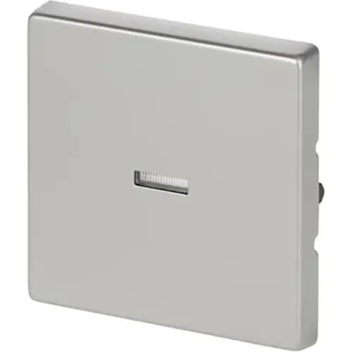 Busch-Jaeger 1789 N-866 schakelwip controlevenster Pure Stainless Steel