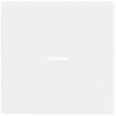 Busch-Jaeger 1789 N-84 schakelwip controlevenster Future Linear studiowit glans