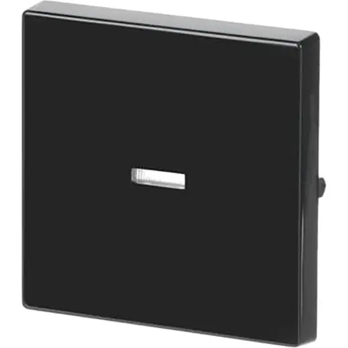 Busch-Jaeger 1789 N-81 schakelwip controlevenster Future Linear antraciet glans