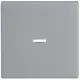 Busch-Jaeger 1789 N-83 schakelwip controlevenster Future Linear aluzilver