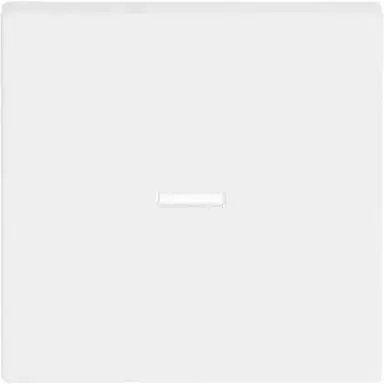 Busch-Jaeger 1789 N-884 schakelwip controlevenster Future Linear studiowit mat