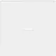 Busch-Jaeger 1789 N-884 schakelwip controlevenster Future Linear studiowit mat