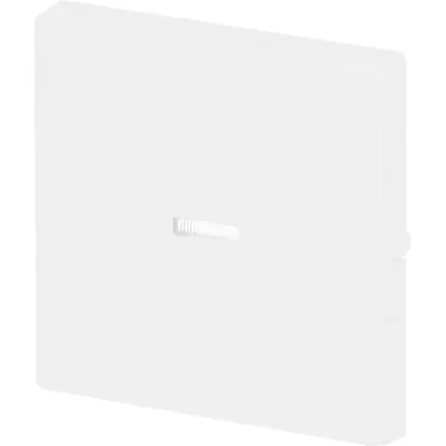 Busch-Jaeger 1789 N-884 schakelwip controlevenster Future Linear studiowit mat