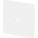 Busch-Jaeger 1789 N-884 schakelwip controlevenster Future Linear studiowit mat
