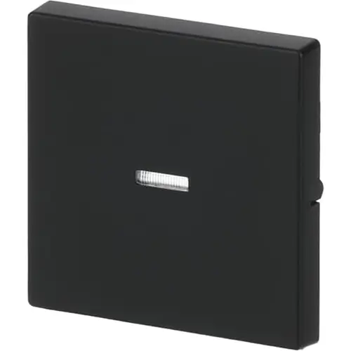 Busch-Jaeger 1789 N-885 schakelwip controlevenster Future Linear zwart mat