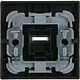 Busch-Jaeger 1789 N-885 schakelwip controlevenster Future Linear zwart mat