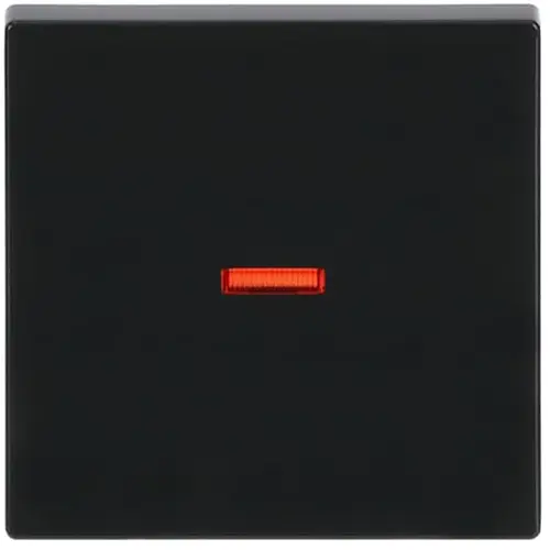 Busch-Jaeger 1789-81 schakelwip controlevenster rood Future Linear antraciet glans