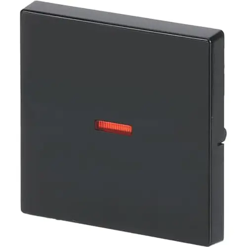 Busch-Jaeger 1789-81 schakelwip controlevenster rood Future Linear antraciet glans