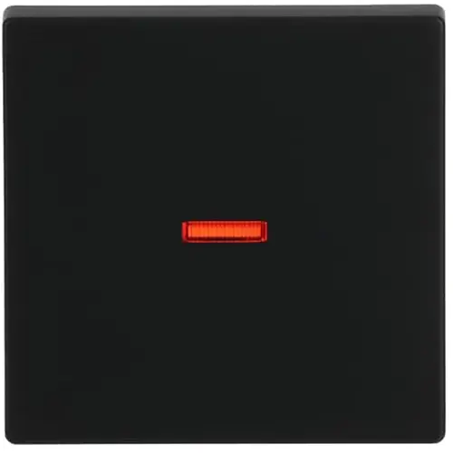 Busch-Jaeger 1789-885 schakelwip controlevenster rood Future Linear zwart mat