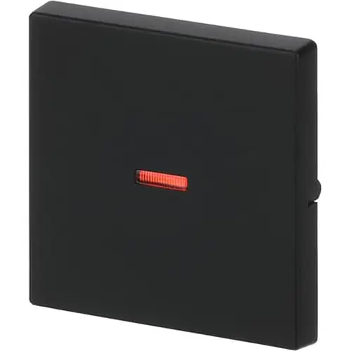 Busch-Jaeger 1789-885 schakelwip controlevenster rood Future Linear zwart mat