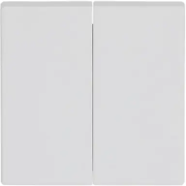 Busch-Jaeger 1785-884 schakelwip 2-voudig Future Linear studiowit mat