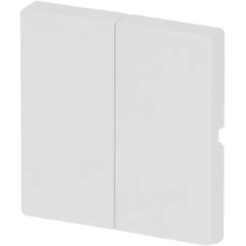 Busch-Jaeger 1785-884 schakelwip 2-voudig Future Linear studiowit mat