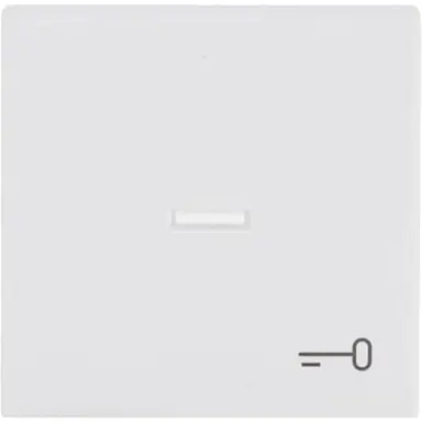 Busch-Jaeger 1789 TR-884 schakelwip met controlevenster en symbool sleutel Future Linear studiowit mat