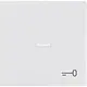 Busch-Jaeger 1789 TR-884 schakelwip met controlevenster en symbool sleutel Future Linear studiowit mat