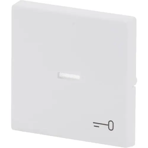 Busch-Jaeger 1789 TR-884 schakelwip met controlevenster en symbool sleutel Future Linear studiowit mat