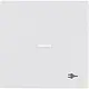 Busch-Jaeger 1789 ST-884 schakelwip met controlevenster en symbool stekker Future Linear studiowit mat