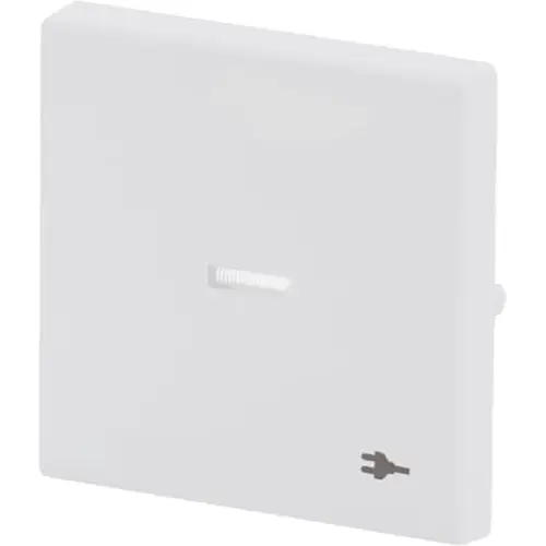 Busch-Jaeger 1789 ST-884 schakelwip met controlevenster en symbool stekker Future Linear studiowit mat