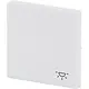 Busch-Jaeger 2520 LI-884 schakelwip met symbool licht Future Linear studiowit mat