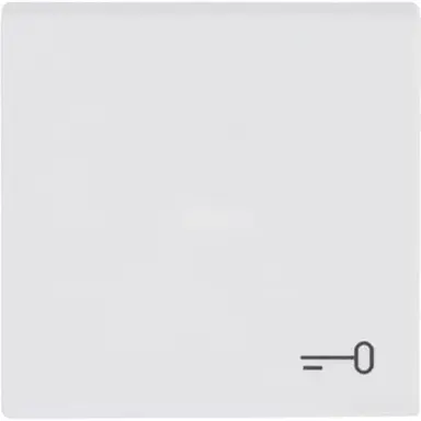 Busch-Jaeger 2520 TR-884 schakelwip met symbool sleutel Future Linear studiowit mat