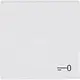 Busch-Jaeger 2520 TR-884 schakelwip met symbool sleutel Future Linear studiowit mat