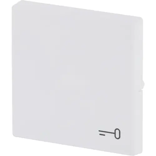 Busch-Jaeger 2520 TR-884 schakelwip met symbool sleutel Future Linear studiowit mat