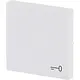 Busch-Jaeger 2520 TR-884 schakelwip met symbool sleutel Future Linear studiowit mat