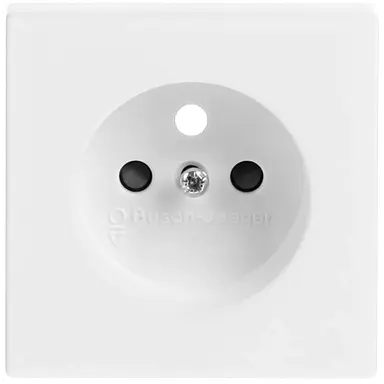 Busch-Jaeger 2399 UCKS-884 centraalplaat voor wandcontactdoos met penaarde Future Linear studiowit mat
