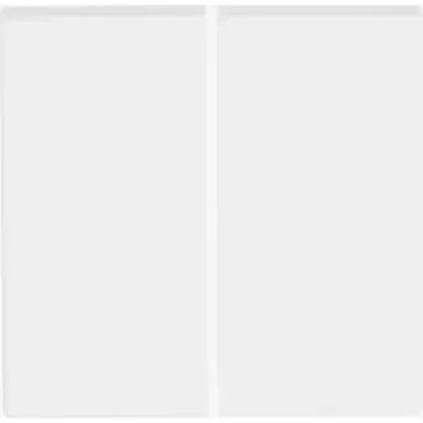 Busch-Jaeger 6736 FoH-884 Friends of Hue bedieningswip 2-voudig Future Linear studiowit mat