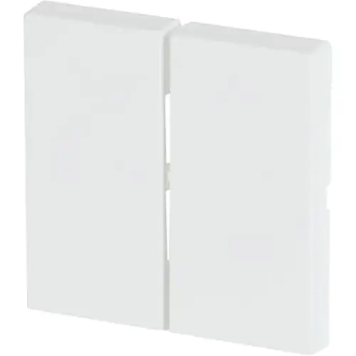 Busch-Jaeger 6736 FoH-884 Friends of Hue bedieningswip 2-voudig Future Linear studiowit mat