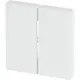 Busch-Jaeger 6736 FoH-884 Friends of Hue bedieningswip 2-voudig Future Linear studiowit mat