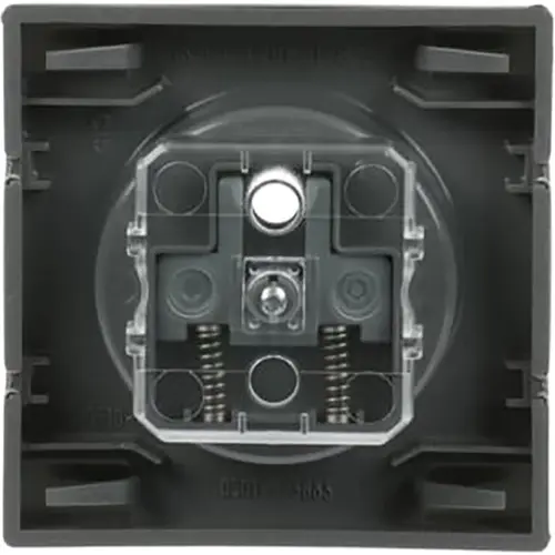 Busch-Jaeger 2399 UCKS-866 centraalplaat voor wandcontactdoos met penaarde Pure Stainless Steel