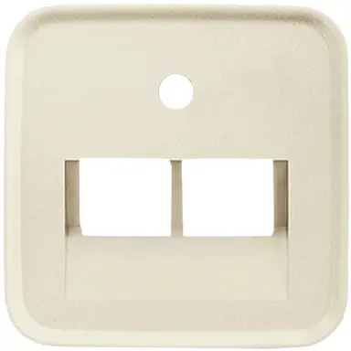 Busch-Jaeger 1803-02-212 centraalplaat RJ45 wandcontactdoos 2-voudig Standaard SI