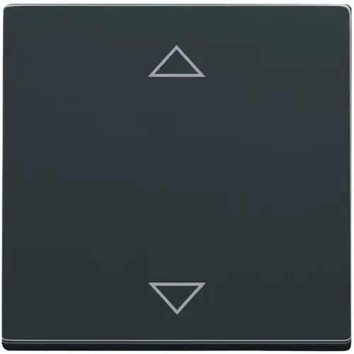 Busch-Jaeger 6430-81-102 knop met pijlsymbolen tbv elektronische jaloezieschakelaar Future Linear antraciet glans