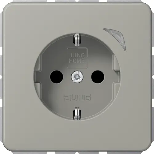 JUNG BT CD 1521 SE PT HOME wandcontactdoos randaarde Energy CD500 platina