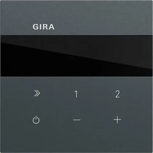 Gira 232073 internetradio inbouw Systeem 70 antraciet mat