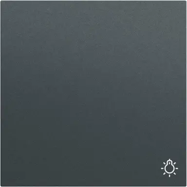 Gira 328573 schakelwip met symbool licht Systeem 70 antraciet mat