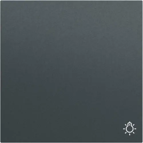 Gira 328573 schakelwip met symbool licht Systeem 70 antraciet mat